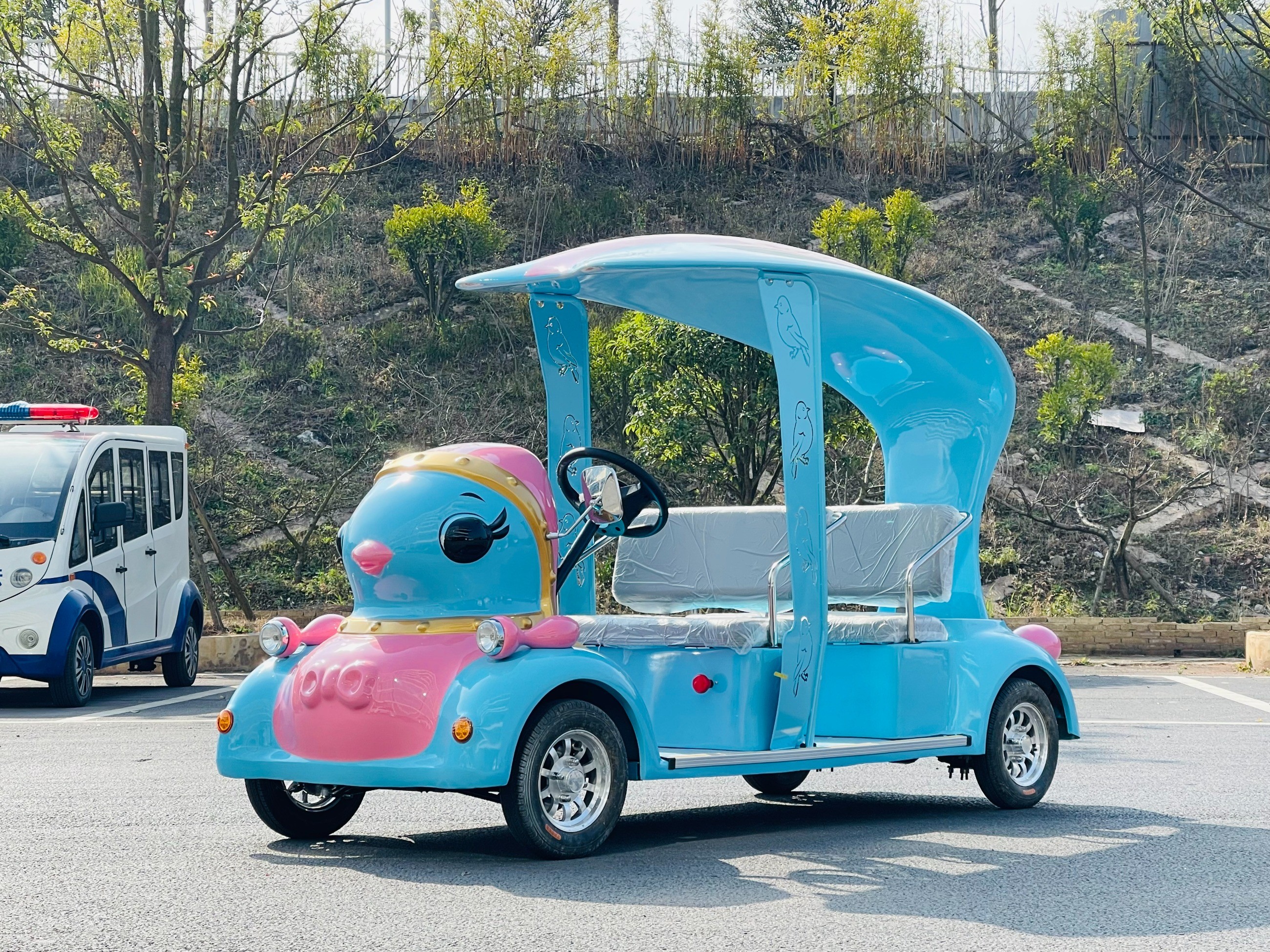 電動(dòng)觀光車