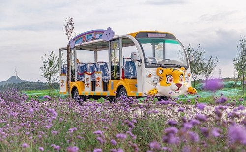 電動觀光車廠家哪個品牌好，電動觀光車市場價格