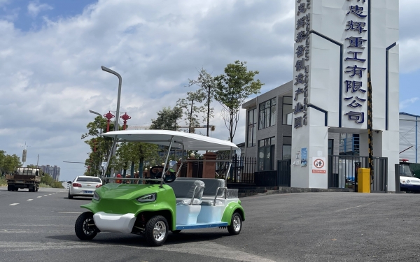 貴州忠輝4座電動游園代步車——青蛙